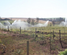 Alunos vivenciam práticas de irrigação para aumento de produção agrícola em colégio de Cambará. Formação dá subsídios para trabalho como técnico.