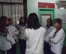 Monitoras voluntárias