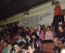 Homenagem da Escola Estadual Agostinho Stefanello à equipe de Handebol Feminino, medalha de ouro na terceira divisão das Olimpíadas Escolares 2012, para alunos com idade entre 12 e 14 anos.