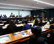 Encerramento do Parlamento Jovem
