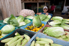 Entrega de alimentos da agricultura familiar