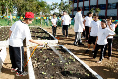 Colombo - 19-04-13 - Colégio Estadual Helena Kolody em Colombo, horta onde os alunos plantam e praticam matemática.  