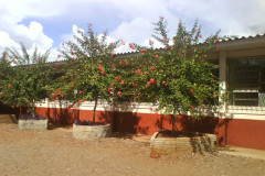 A Secretaria de Estado da Educação licitou as obras para recuperar e modernizar a estrutura do prédio. O investimento é de R$ 1 milhão. Na foto, imagem do pátio do colégio