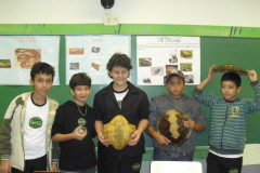 Em Maringá, evento foi uma oportunidade paras visitantes conhecerem vários trabalhos nas disciplinas, além de apresentações artísticas e esportivas.