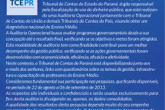 TCE - Auditoria Operacional - Esclarecimentos