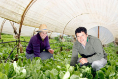 Pato Branco, Agricultura Familiar, na foto produção de alimentos da familia de Vilson de Melo e Sandra Giacomani de Melo. 27-08-13. 