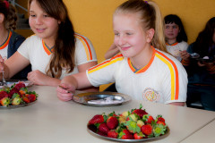 Em Prudentópolis, na região Central do Paraná, as merendeiras Marilda de Lima e Silvana Zdebski, do Colégio Estadual Alberto de Carvalho, usam as frutas em diversas receitas. Entre as várias opções, o sorvete natural de morango fez sucesso entre os alunos.