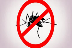 “Dengue” serve de material pedagógico para escolas trabalharem o tema em sala de aula e junto à comunidade escolar.