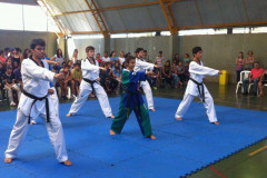 A Secretaria de Estado do Esporte e do Turismo em parceria com as Secretarias da Justiça, da Segurança e da Educação, além da Federação Paranaense de Taekwondo, lançaram na manhã desta terça-feira (03) em Londrina o Projeto UPS Cidadania, que visa ensinar o taekwondo para as crianças e adolescentes das comunidades que possuam uma Unidade Paraná Seguro.