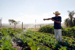 Começa nesta segunda (27) a matrícula de agentes educacionais selecionados para os cursos técnicos do Profuncionário. São 1.750 vagas nos cursos técnicos em Alimentação Escolar e em Infraestrutura Escolar para agentes I, e em Secretaria Escolar, em Multimeios Didáticos e em Biblioteca para agentes II.Na rede estadual, o agente educacional I trabalha em serviços gerais, merenda escolar e como tratorista ou motorista, e o agente educacional II na secretaria do estabelecimento de ensino.