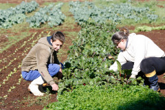 CEEP Assis Brasil de Clevelândia. 28-08-13. Imagem ilustrativa.