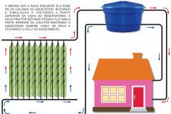 Projeto foi desenvolvido por 60 alunos do ensino médio e é parte do Programa de Desenvolvimento Educacional de professora de Cascavel.