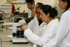 Comunidade poderá conhecer cursos existentes e novidades. São 55 cursos técnicos, em 354 escolas e centros estaduais de 184 municípios paranaenses.