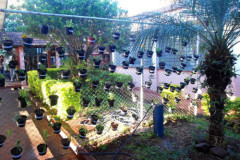 O clima da primavera inspira a comunidade do Colégio Estadual Horácio Ribeiro dos Reis, em Cascavel, no Oeste do Estado. Nesta semana, estão sendo plantados diversos tipos de flores, como orquídeas, gerânios, onze horas, cravos, begônias, operárias, espadas de São Jorge.