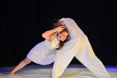 Leminski: entre o azul e o amarelo