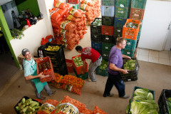 Secretaria de Estado da Educação do Paraná, Cooperativa AOPA de agricultura familiar, agricultores separam alimentos para entrega nas escolas. 14-04-15.  