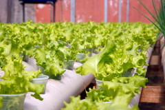 Colégio Estadual Teobaldo Leonardo Kletemberg, no bairro Novo Mundo, em Curitiba. 28-04-15.