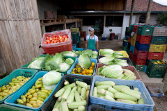 A greve dos professores da rede estadual prejudica não apenas os alunos, mas também a profissionais que atuam indiretamente com a área da educação.