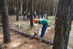 Encontro serviu para alunos do 9° ano de escolas da região conhecerem cursos e estrutura do centro florestal de educação profissional.