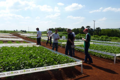 Evento reuniu cerca de 2 mil visitantes na Mostra Técnica Agropecuária organizada e apresentada pelos alunos do Colégio Agrícola Estadual de Toledo.