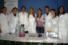 Em Apucarana, estudantes do Colégio Estadual Alberto Santos Dumont apresentam trabalhos desenvolvidos durante curso técnico em Química.