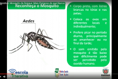 Com o tema “Mosquito da Dengue: Mais Perigoso do que Nunca”, a Escola Interativa abordou a caracterização e identificação do mosquito, seu ciclo de vida e as medidas de prevenção e combate do inseto. Assista à Escola Interativa: http://www.gestaoescolar.diaadia.pr.gov.br/modules/conteudo/conteudo.php?conteudo=1605