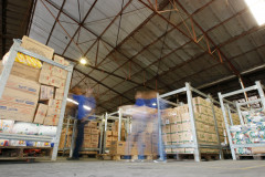 Galpão da Codapar, onde alimentos das escolas são estocados e distribuídos.