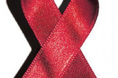 SEED CONVIDA PARA O DIA MUNDIAL DE COMBATE À AIDS