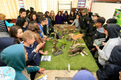 As escolas estaduais de Curitiba e Região Metropolitana terão uma programação especial nos próximos meses