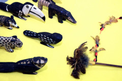 Professores indígenas que atuam nas 37 escolas guarani, xetá e caingangue da rede estadual de ensino iniciaram nesta terça-feira (4), em Curitiba, cursos de formação continuada para fortalecer as metodologias de ensino indígena no Estado. O encontro “A Educação Escolar Indígena: Diferenciada, Intelectual e Bilíngue”, vai até esta sexta-feira (7).