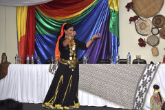 O curso de formação vai capacitar os profissionais para desenvolver atividades sobre temas voltados às diversidades de gênero e sexual, educação do campo, educação escolar indígena, quilombola e cigana, educação etnicorracial, direitos humanos e o mundo trabalho. A formação é realizada por meio de palestras, oficinas temáticas e mesa-redonda.