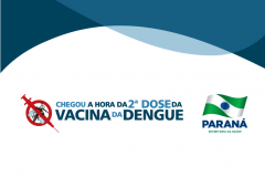 Dengue - 2ª dose da vacina