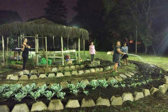 O Colégio Estadual Paulo Leminski, em Curitiba, está com inscrições abertas para o Curso Técnico em Meio Ambiente em duas modalidades. No integrado, disponível para quem concluiu apenas o ensino fundamental ou equivalente, alunos fazem disciplinas do ensino médio regular e também disciplinas específicas. Já o Curso Técnico em Meio Ambiente subsequente está disponível para qualquer pessoa que já concluiu o ensino médio, ou equivalente, e procura apenas a qualificação profissional.