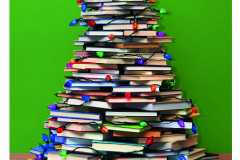 Secretária da Educação Ana Seres deseja um Feliz Natal e um próspero Ano Novo a todos