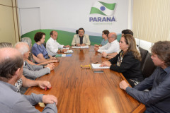 A nova proposta foi redigida pelo Centro Estadual de Vigilância Sanitária, em parceria com a Secretaria de Estado da Educação, Instituto Paranaense de Desenvolvimento Educacional (Fundepar), Secretaria Municipal de Saúde de Curitiba, Conselho Estadual de Educação e o Sindicato dos Estabelecimentos Particulares do Ensino do Paraná.