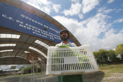 O Paraná é o primeiro estado a cumprir a legislação federal que destina 30% dos recursos do Programa Nacional de Alimentação Escolar (PNAE) à compra de produtos diretamente da agricultura familiar.