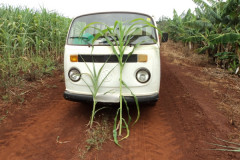 Alunos vivenciam práticas de irrigação para aumento de produção agrícola em colégio de Cambará. Formação dá subsídios para trabalho como técnico.