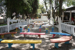 O Colégio Estadual Narcíso Mendes, em Curitiba, inaugurou nessa terça-feira (09) a “Praça Helena Kolody, a Voz do Coração”.