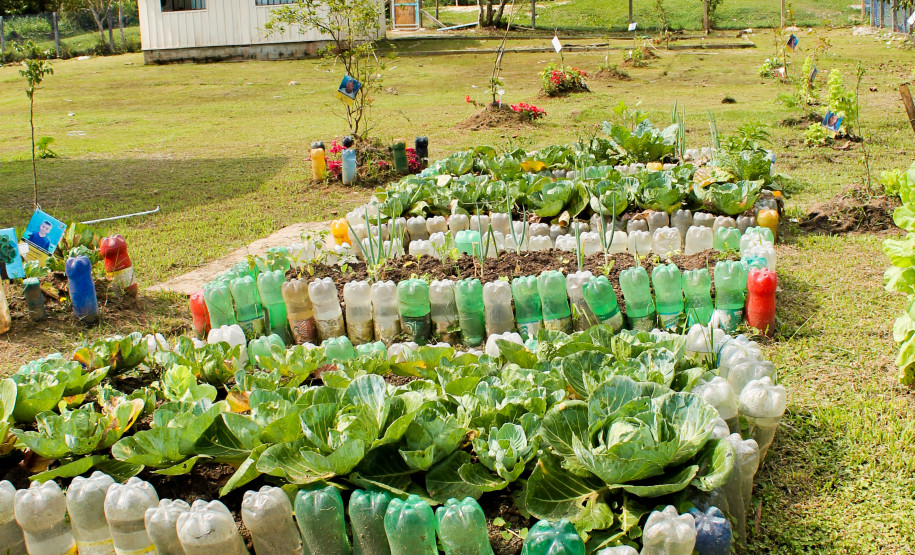 Dia da Escola - Escola do Campo