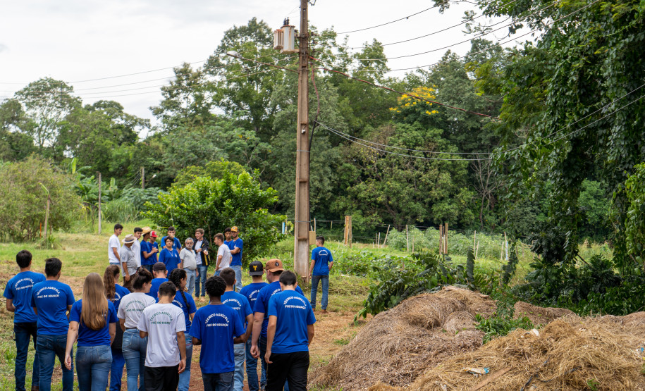 No Colégio Agrícola de Foz do Iguaçu, os estudantes cultivam uma horta de meio hectare com alface, rúcula, espinafre, brócolis, cenoura, beterraba, além de ervas aromática