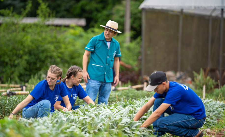 No Colégio Agrícola de Foz do Iguaçu, os estudantes cultivam uma horta de meio hectare com alface, rúcula, espinafre, brócolis, cenoura, beterraba, além de ervas aromática