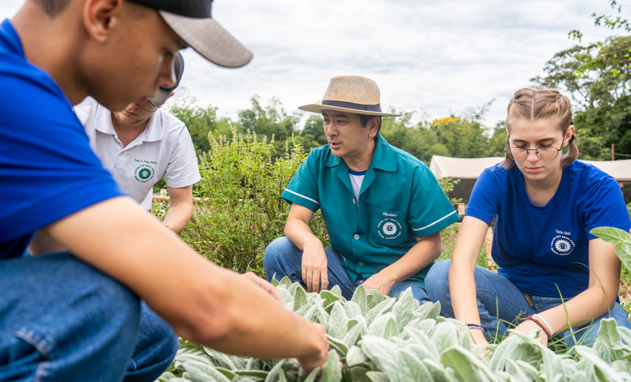 No Colégio Agrícola de Foz do Iguaçu, os estudantes cultivam uma horta de meio hectare com alface, rúcula, espinafre, brócolis, cenoura, beterraba, além de ervas aromática