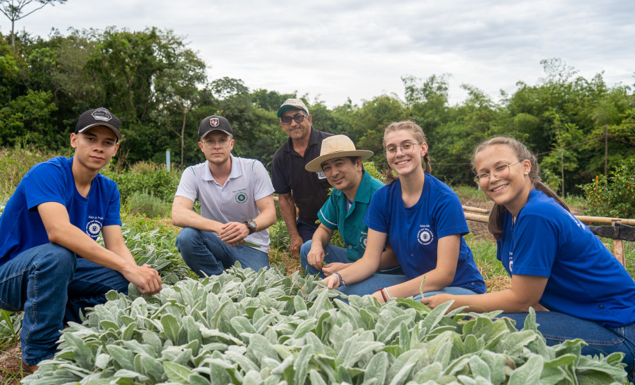 No Colégio Agrícola de Foz do Iguaçu, os estudantes cultivam uma horta de meio hectare com alface, rúcula, espinafre, brócolis, cenoura, beterraba, além de ervas aromática