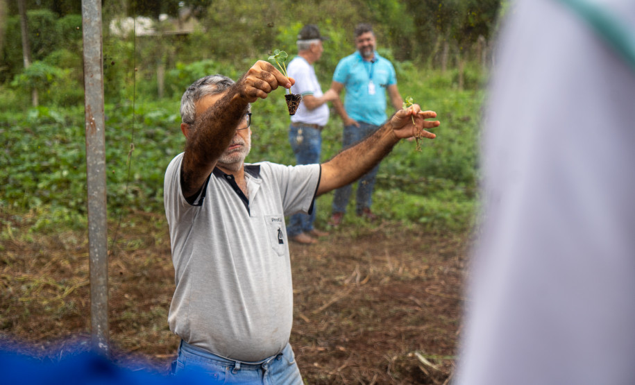 No Colégio Agrícola de Foz do Iguaçu, os estudantes cultivam uma horta de meio hectare com alface, rúcula, espinafre, brócolis, cenoura, beterraba, além de ervas aromática