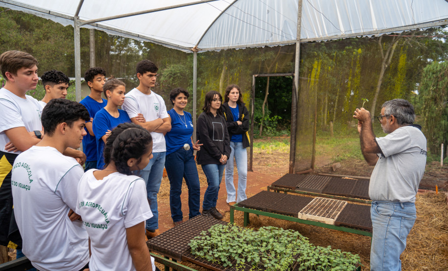 No Colégio Agrícola de Foz do Iguaçu, os estudantes cultivam uma horta de meio hectare com alface, rúcula, espinafre, brócolis, cenoura, beterraba, além de ervas aromática