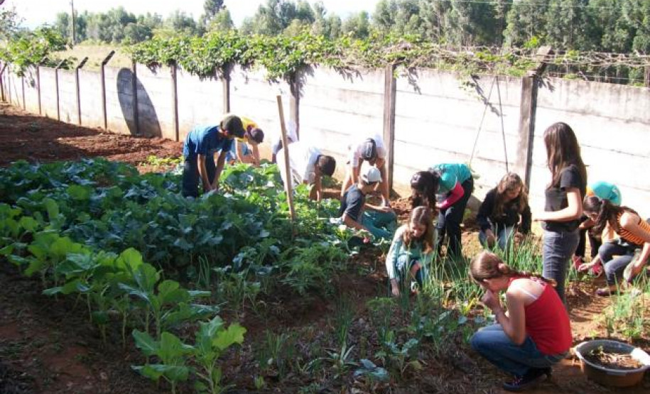 Projeto da Escola Estadual do Campo km 10, em Wenceslau Braz, faz parte das aulas práticas de disciplinas das áreas de Humanas e de Exatas.