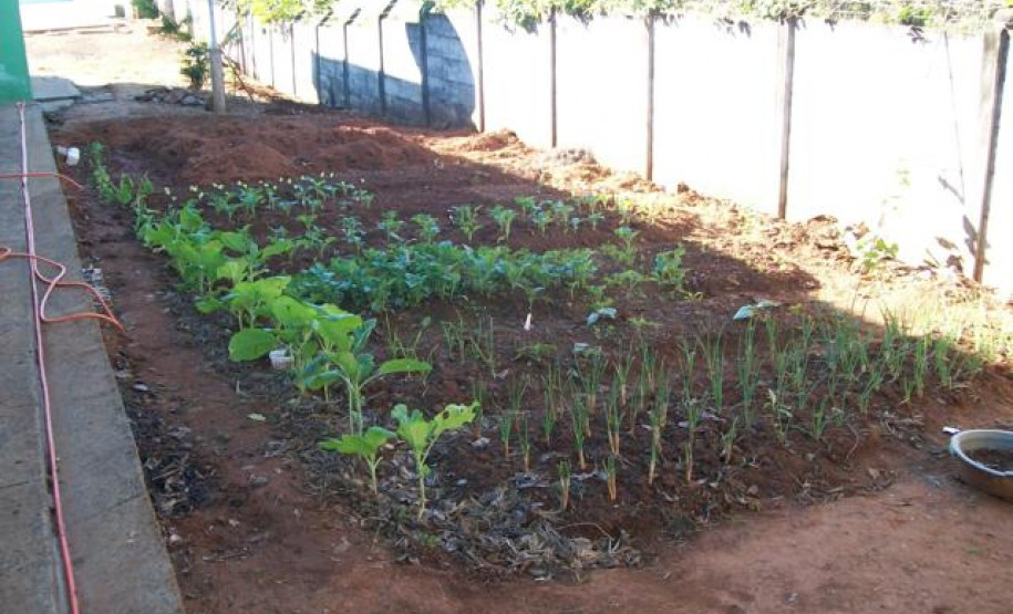 Projeto da Escola Estadual do Campo km 10, em Wenceslau Braz, faz parte das aulas práticas de disciplinas das áreas de Humanas e de Exatas.