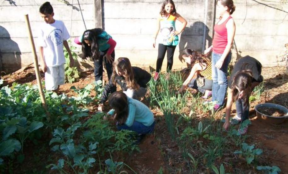 Projeto da Escola Estadual do Campo km 10, em Wenceslau Braz, faz parte das aulas práticas de disciplinas das áreas de Humanas e de Exatas.