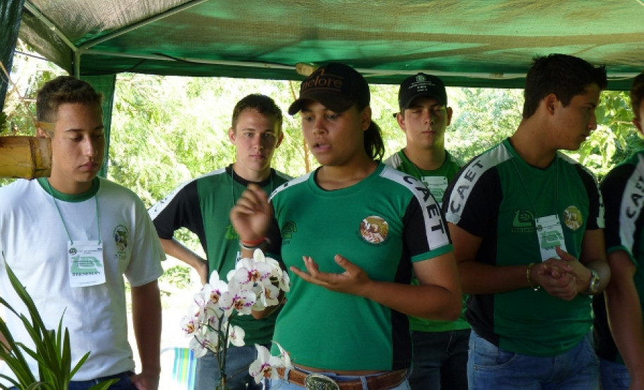 O evento, que em 2012 chegou a sua sexta edição, reuniu os trabalhos de 91 alunos dos 3º anos do Curso Técnico em Agropecuária, em mais de 20 unidades produtivas.