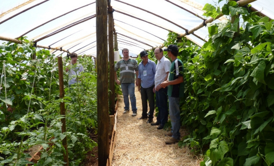 Fundado em 1987, o Colégio Agrícola Estadual de Toledo tem uma área de 48,4 hectares, distribuído em vários setores, que constituem a Unidade Didático Produtiva (UDP) e incluem áreas de plantio e criação de animais.